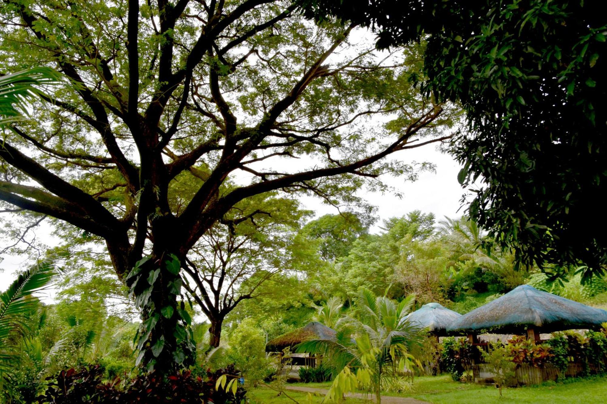 Isla De Oro Hotel Mamburao Esterno foto